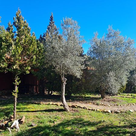 Apartamentos Rurales Candela Каньямеро Экстерьер фото